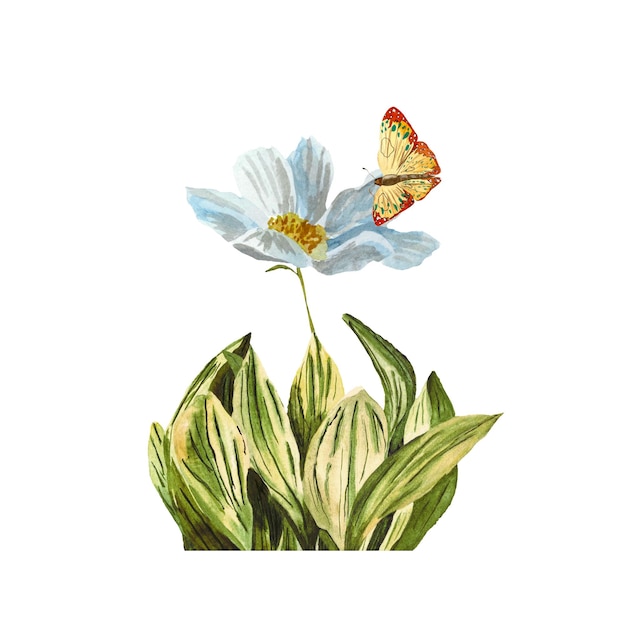 Bloem madeliefje insect vlinder gekleurde schets. Een aquarel illustratie. Handgetekende textuur.