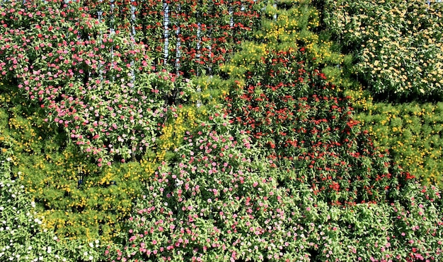 bloem muur verticale tuin