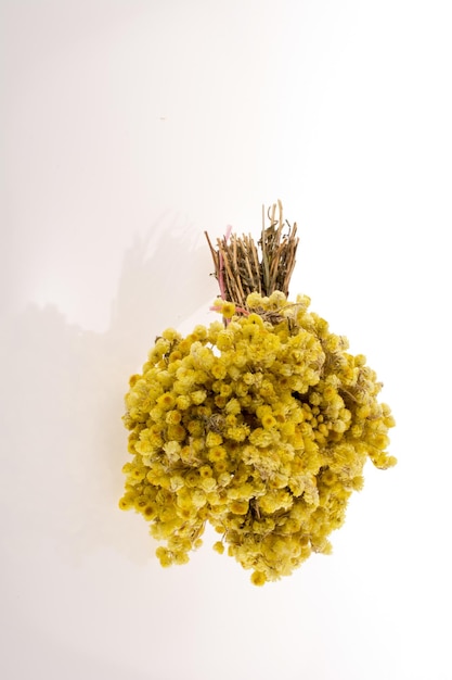 Bloem naast een notitieboekje