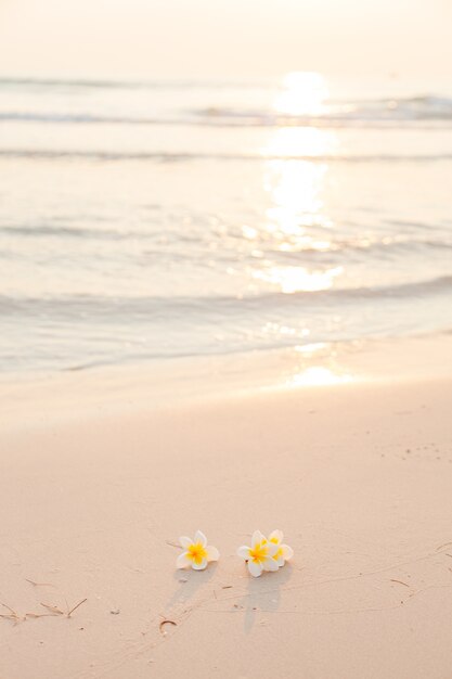 Bloem op het zand