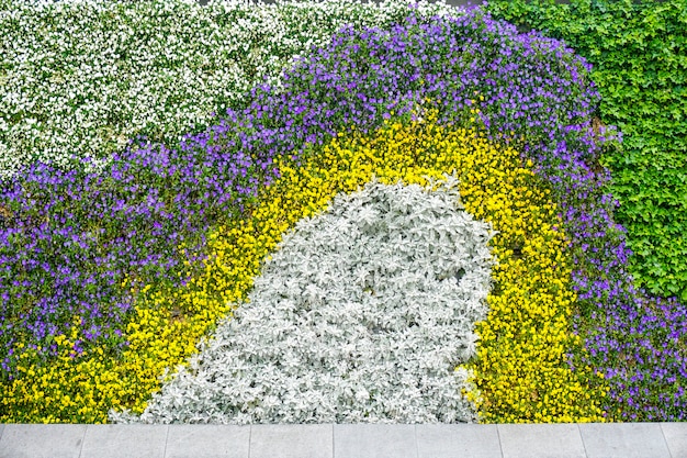 Bloem plantenmuur