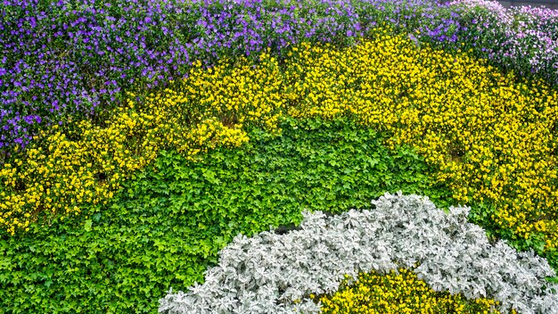 Bloem plantenmuur