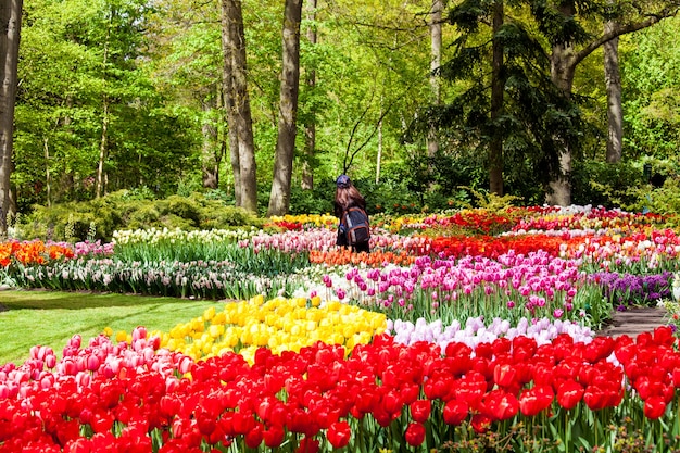 Bloem rivier in Keukenhof park in Amsterdam, Nederland. Kleurrijk bloemengebied