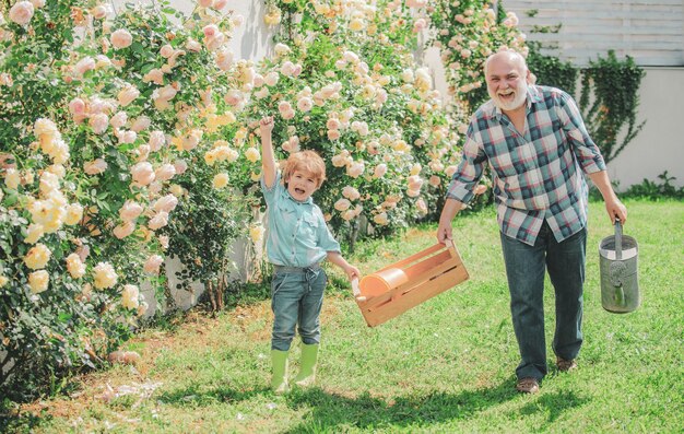 Bloem rozen verzorgen en water geven grootvader met kleinzoon samen tuinieren kind is in de tuin w