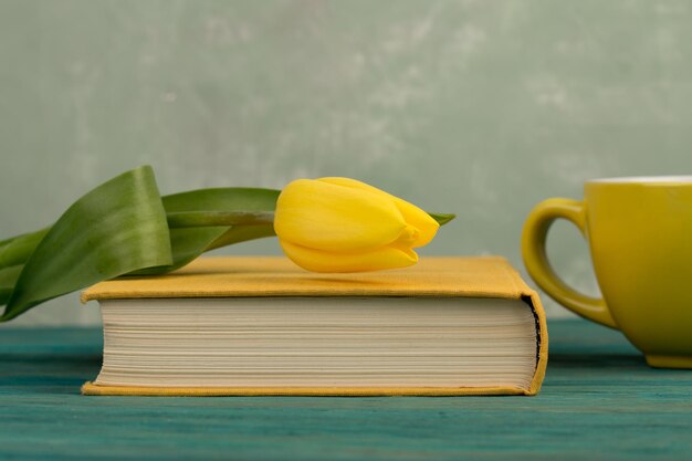 Bloem tulp beker en boek