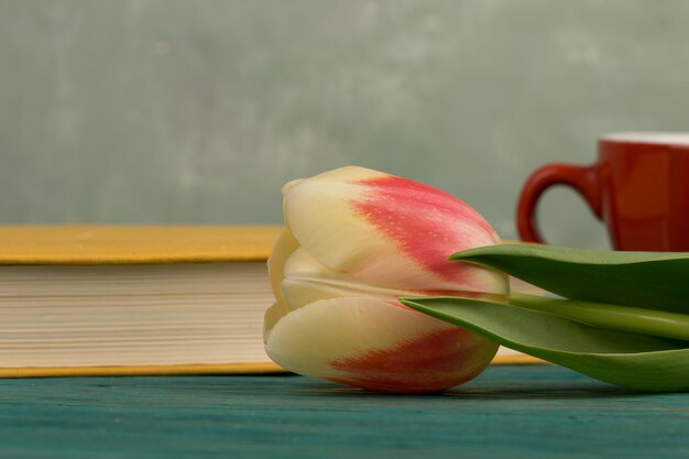 Bloem tulp beker en boek