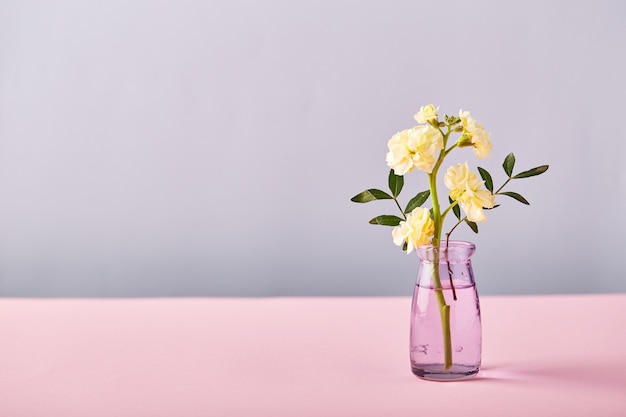 Bloem van gele matthiola in kleine glazen vaas op roze tafel