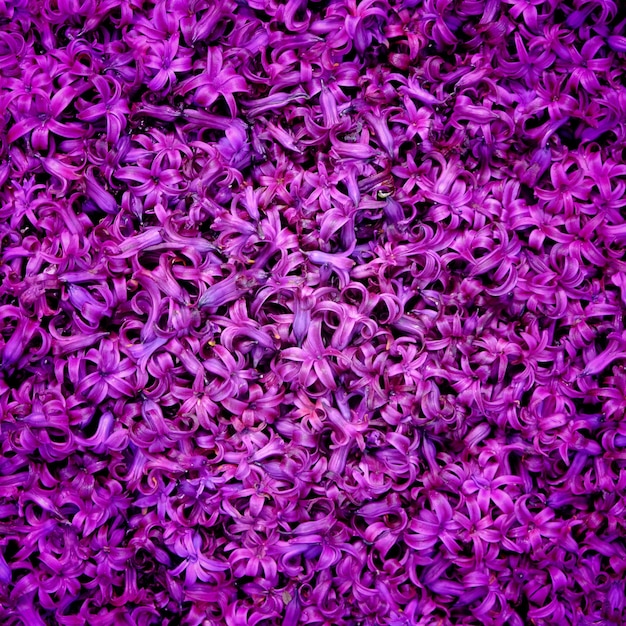 Bloemachtige achtergrond van kleine paarse bloemen