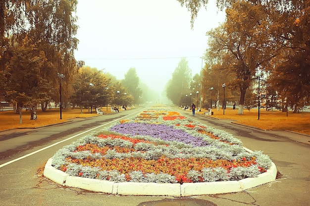 bloembed bloemen stadspark / mooie levendige stadsbloemen in het landschap, stedenbouw