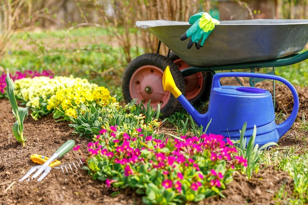 bloembed en tuingereedschap kruiwagen tuinwagen, gieter, tuinhark in de tuin