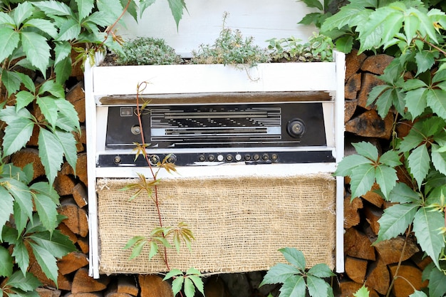 Bloembed gemaakt van oude radio in de tuin Concept van recycling