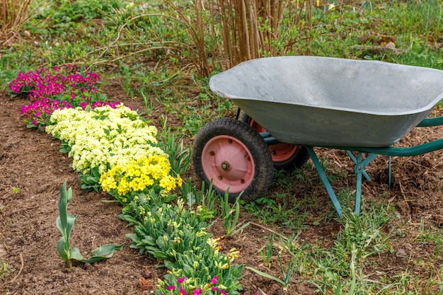 Bloembed met bloemen en tuinman apparatuur kruiwagen tuin kar in tuin op zomerdag. Hulpmiddelen voor landbouwers klaar om zaailingen of bloemen te planten. Tuinieren en landbouw concept.