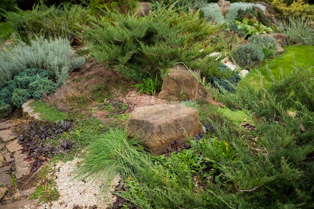 Bloembed met groenblijvende bloemen en stenen in het landschapsontwerp