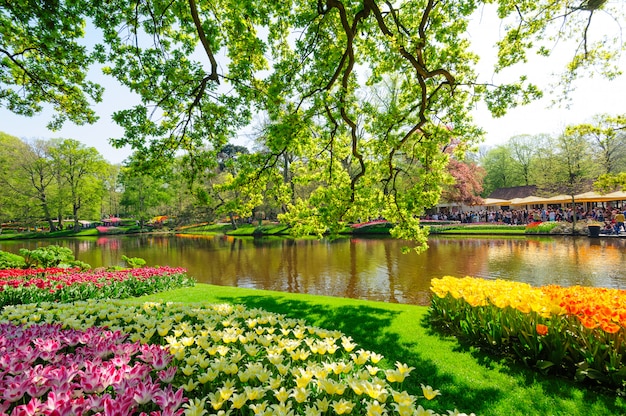 Bloembedden van Keukenhof-Tuinen in Lisse, Nederland