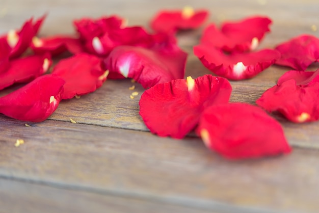 Bloemblaadje van de rode mooie bloemen van de bloemaard van de tuin op houten vloer