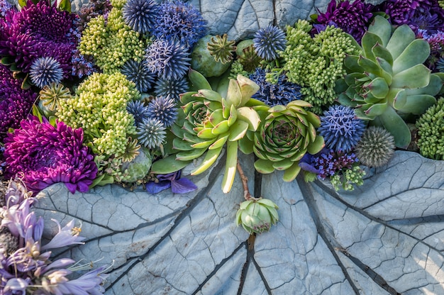 Bloemen achtergrond. bloemstuk van paarse asters en vetplanten.