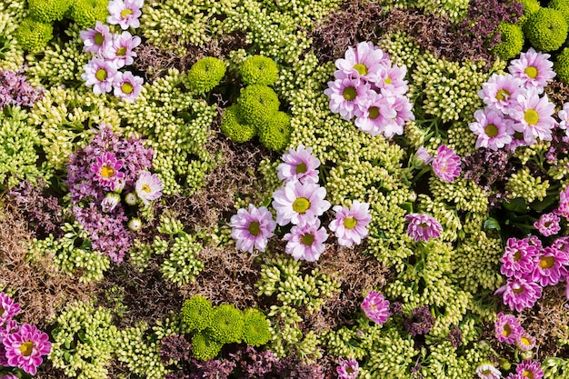 Bloemen achtergrond. Bovenaanzicht