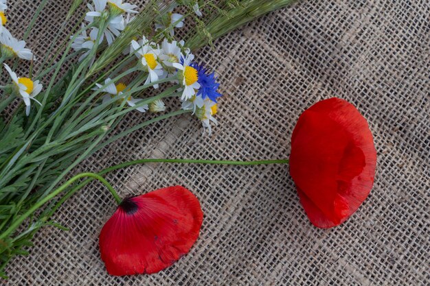 Foto bloemen arrangement van rode klaprozen, madeliefjes, korenbloemen en wilde bloemen