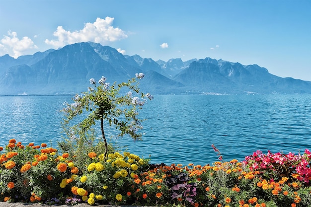 Bloemen bloeien op de promenade van het meer van Genève in Montreux, kanton Vaud, Zwitserland