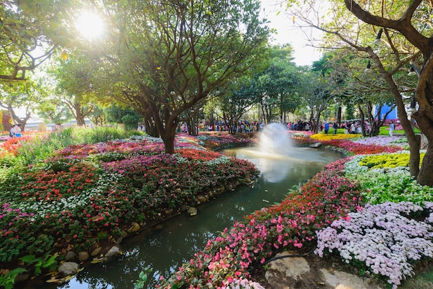 Bloemen bloeien op het Chiang Rai Flower Festival en muziek in het park