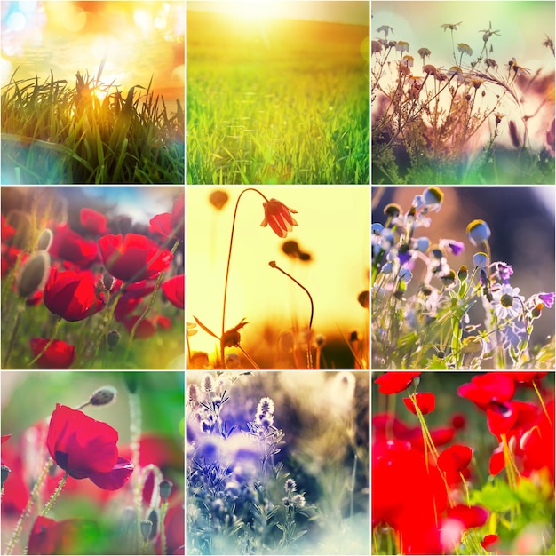 Bloemen collage