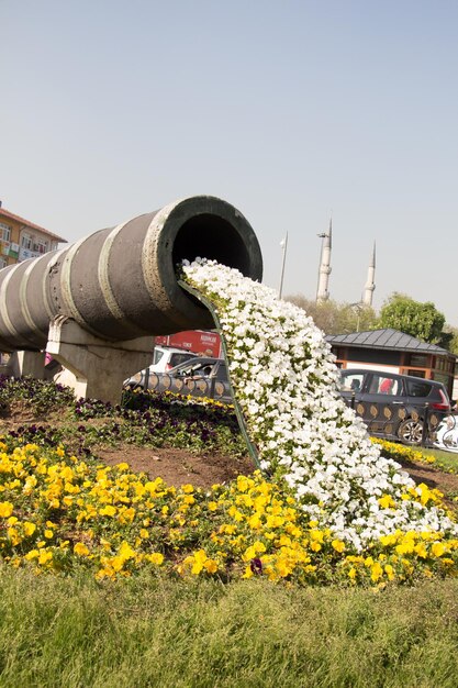 Bloemen die uit een pijpontwerp komen