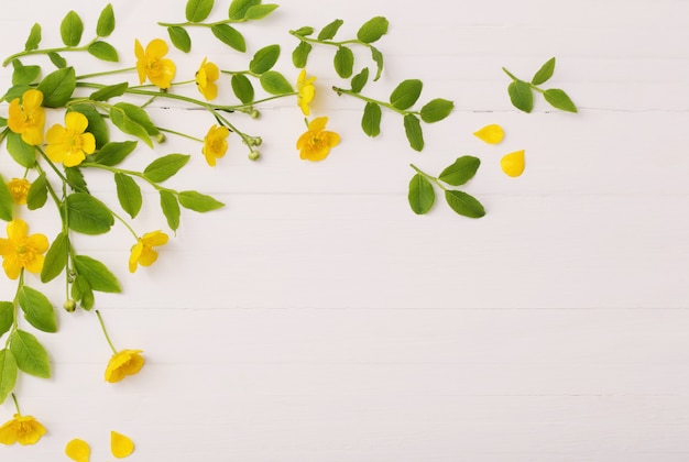 Bloemen en bladeren op witte houten achtergrond