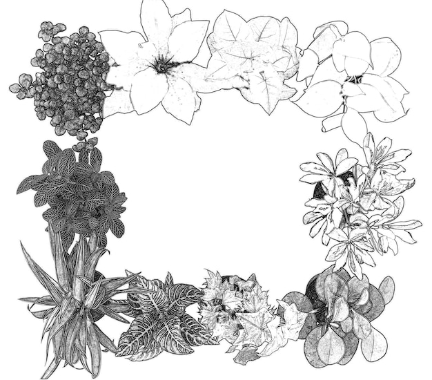 Bloemen en planten in potten geïsoleerd op een witte achtergrond