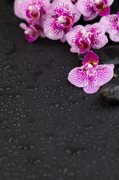 Bloemen en zwarte stenen zen achtergrond