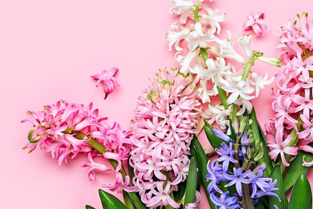 Bloemen feestelijke compositie Roze lente of Pasen Florale achtergrond Mooie hyacinten bloemen Hallo lente concept