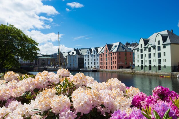 Bloemen groeien in de straten van de beroemde Noorse stad Alesund