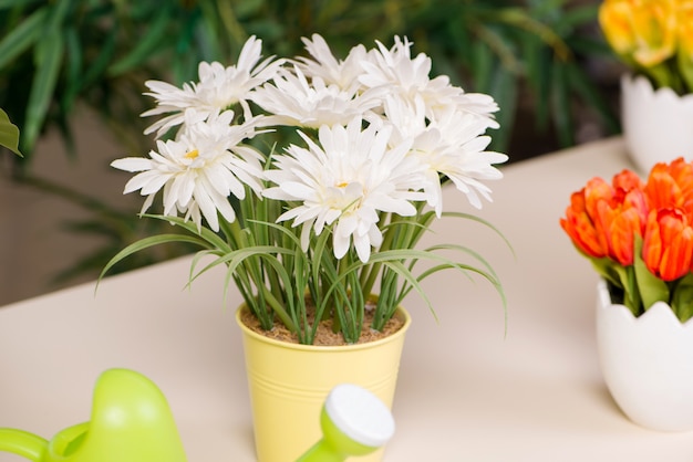 Bloemen in de pot thuis