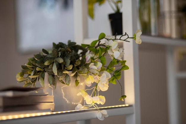 bloemen in de tuin met rode muur