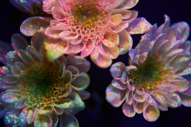 Foto bloemen in de verfdruppels gloeien in het ultraviolette licht. natuurlijke schoonheidscosmetica