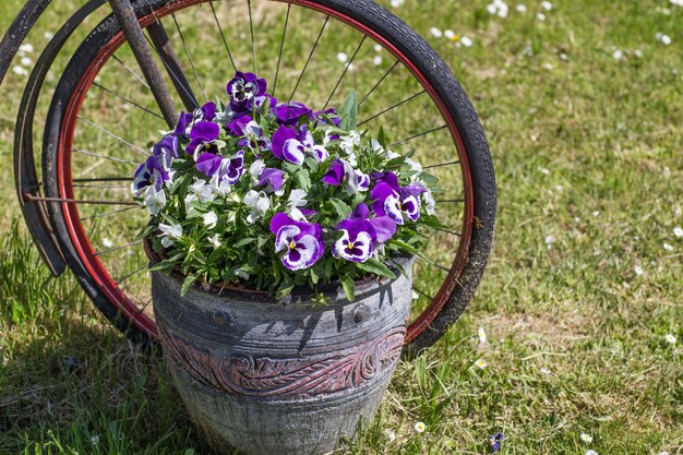 bloemen in een bloempot in de tuin