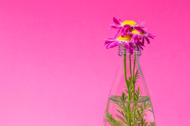 Bloemen in een glazen fles op een roze achtergrond