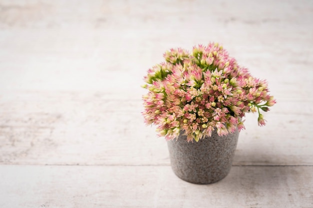 Bloemen in een kleine keramische pot