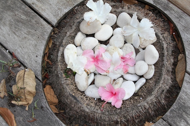 Bloemen in een kom met stenen