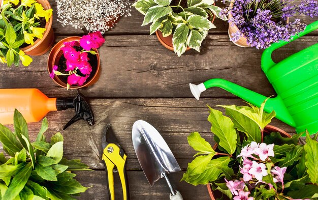 Bloemen in een pot en tuingereedschap op een houten ondergrond