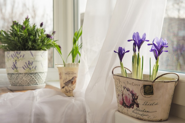 Bloemen in een pot op de vensterbank