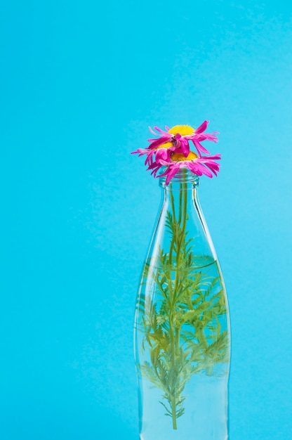 Bloemen in glazen fles op blauwe achtergrond