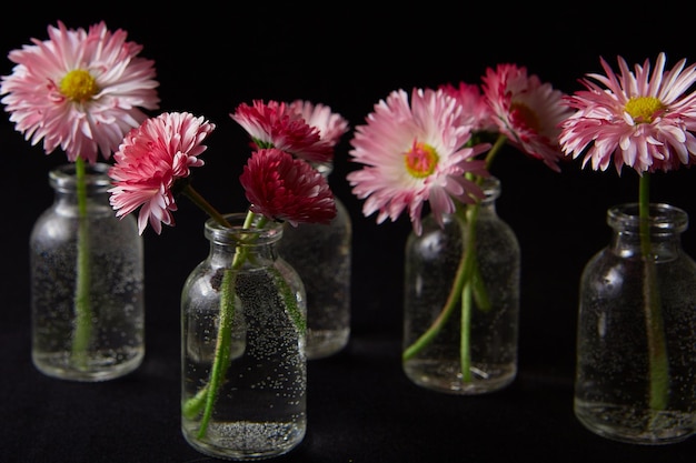 Bloemen in glazen vazen op zwarte achtergrond