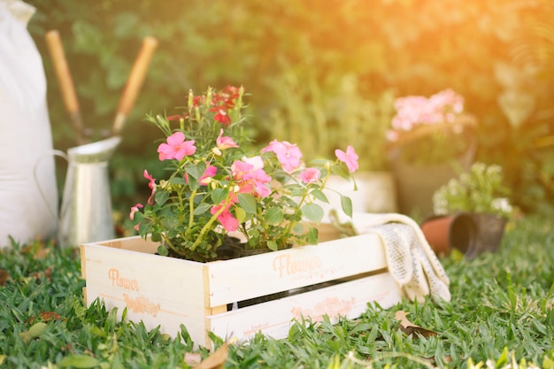 Foto bloemen in houten kist op weide