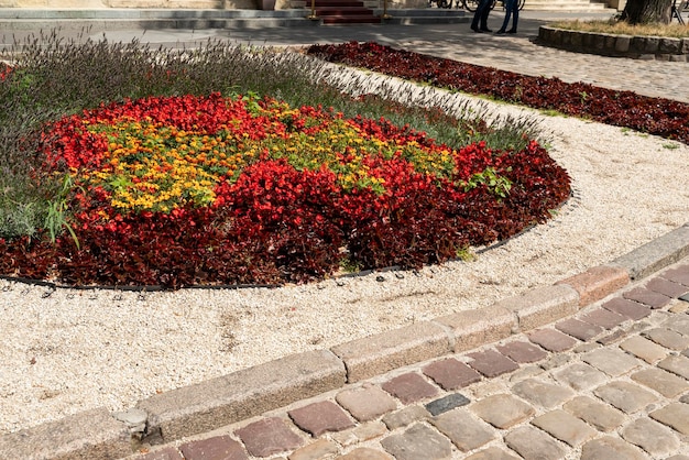 Bloemen in potten en kuipen op sommige plaatsen als ontwerp- en decoratie-element