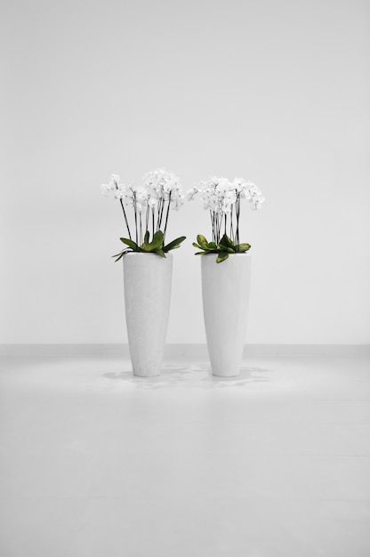 Bloemen in vaas, minimalistische decoratie