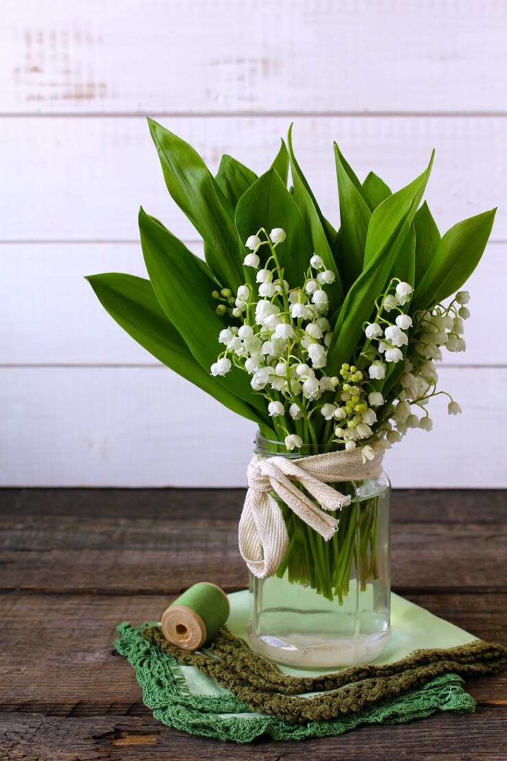 Bloemen lelietje-van-dalen lente
