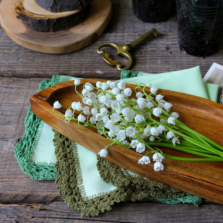 Bloemen lelietje-van-dalen lente