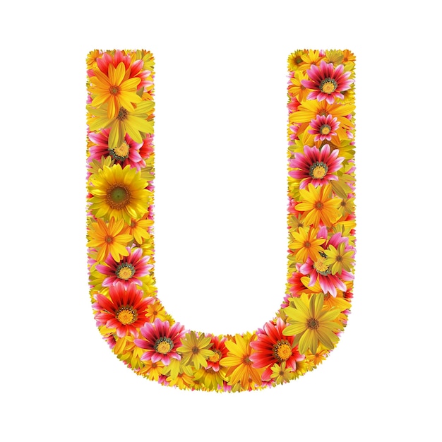 Bloemen letter U