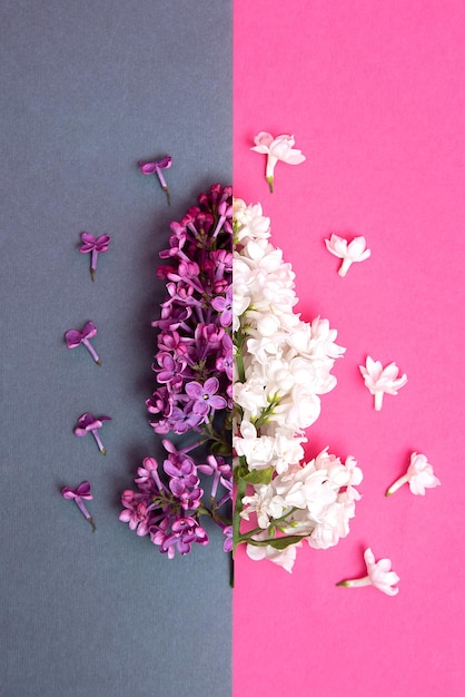 Bloemen lila wit en paars op een dubbele achtergrond van grijs en roze lenteboeket