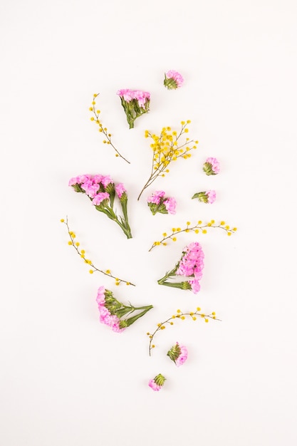 Foto bloemen op een witte achtergrond - hallo lente en hallo zomer